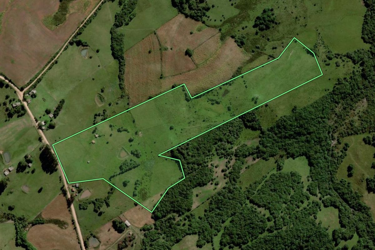 Imagem de satélite do imóvel rural em Piratini (RS), com o contorno declarado no CAR desenhado por cima.