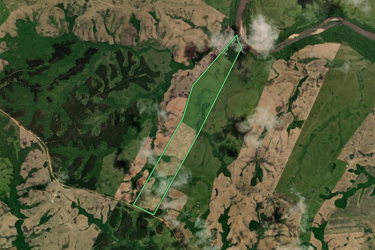 Imagem de satélite do imóvel rural em Piratini (RS), com o contorno declarado no CAR desenhado por cima.