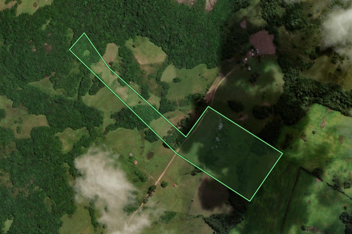 Imagem de satélite do imóvel rural em Piratini (RS), com o contorno declarado no CAR desenhado por cima.