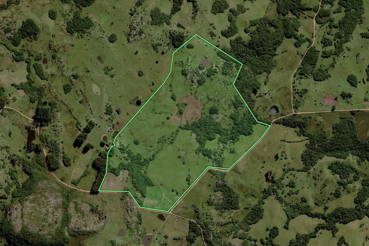 Imagem de satélite do imóvel rural em Piratini (RS), com o contorno declarado no CAR desenhado por cima.