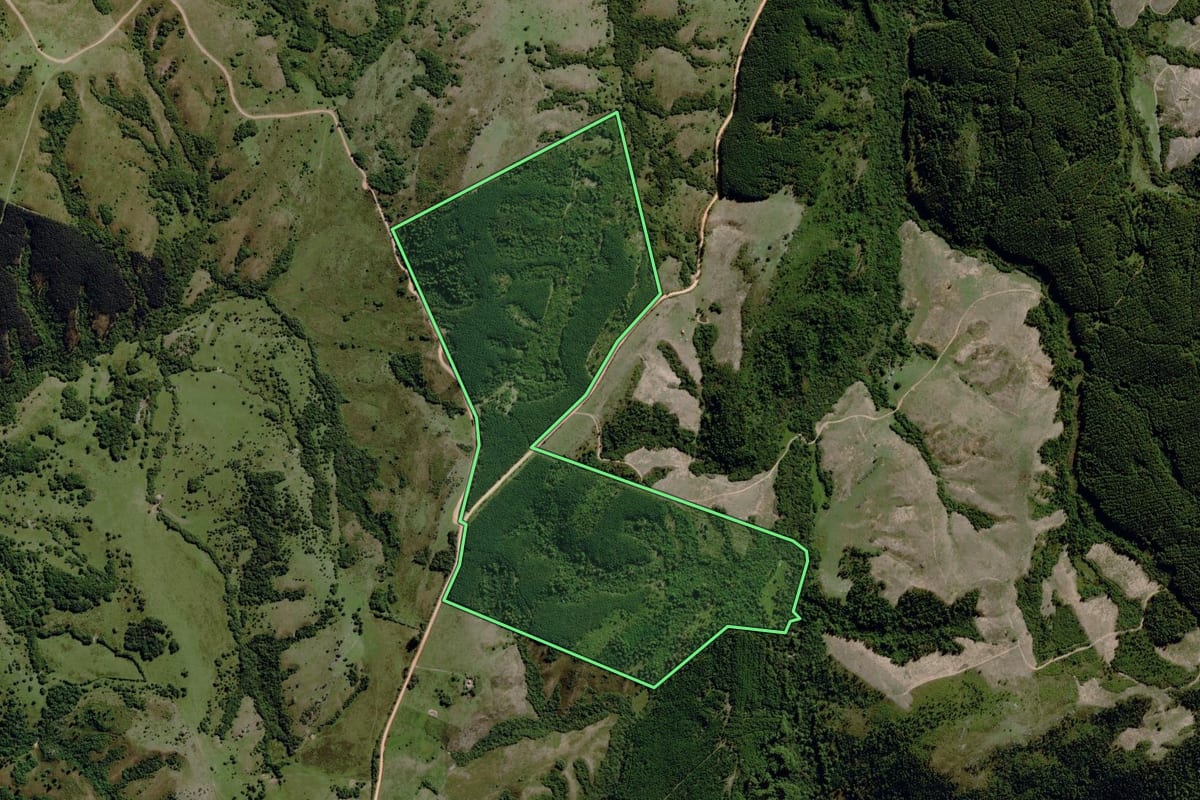 Imagem de satélite do imóvel rural em Piratini (RS), com o contorno declarado no CAR desenhado por cima.
