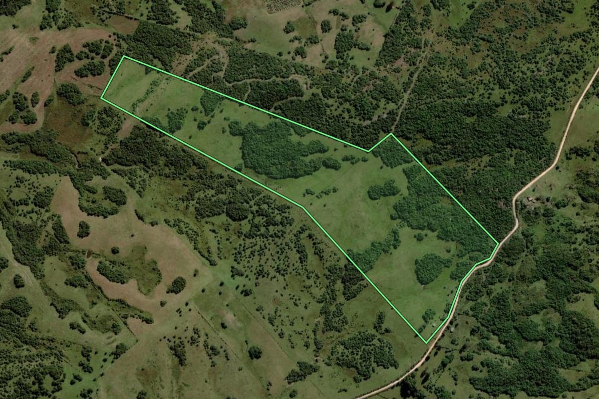 Imagem de satélite do imóvel rural em Piratini (RS), com o contorno declarado no CAR desenhado por cima.