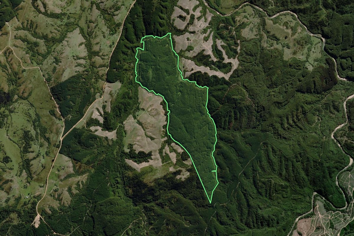 Imagem de satélite do imóvel rural em Piratini (RS), com o contorno declarado no CAR desenhado por cima.