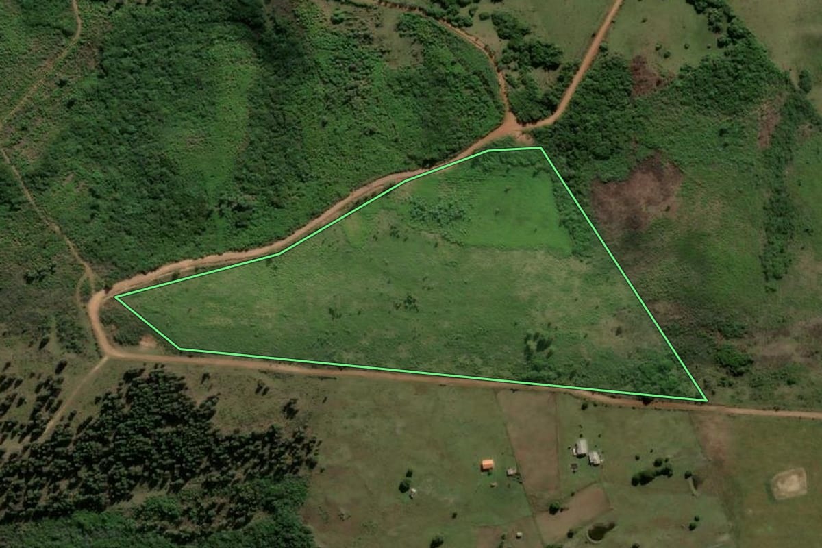 Imagem de satélite do imóvel rural em Piratini (RS), com o contorno declarado no CAR desenhado por cima.