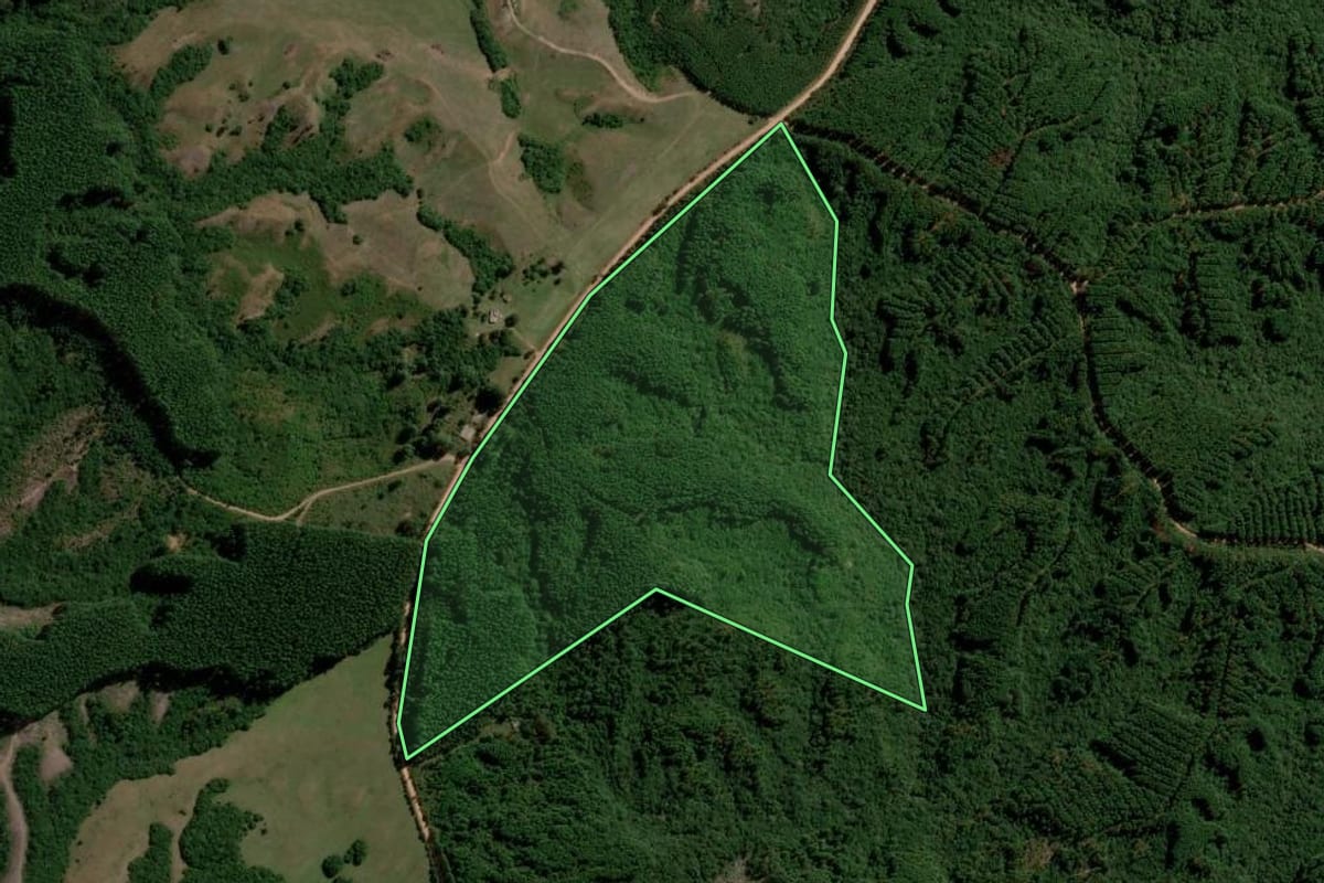 Imagem de satélite do imóvel rural em Piratini (RS), com o contorno declarado no CAR desenhado por cima.
