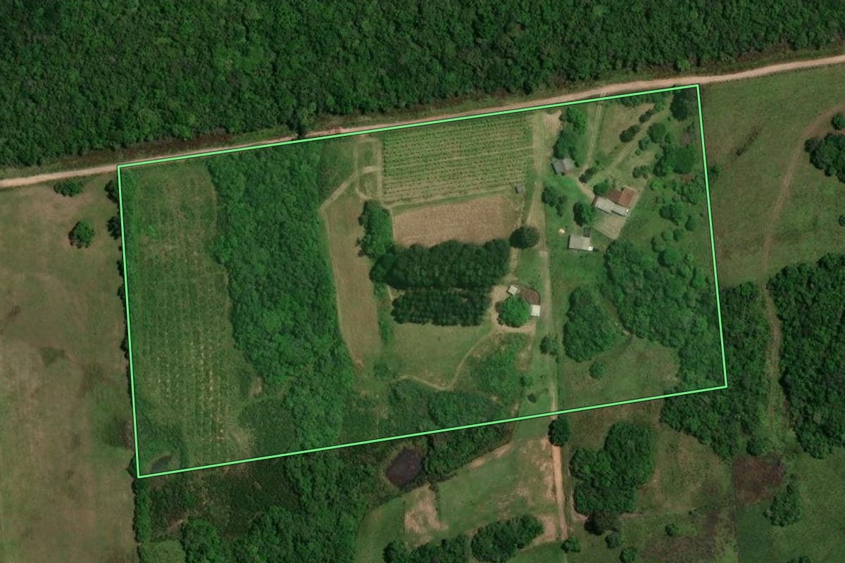 Imagem de satélite do imóvel rural em Piratini (RS), com o contorno declarado no CAR desenhado por cima.