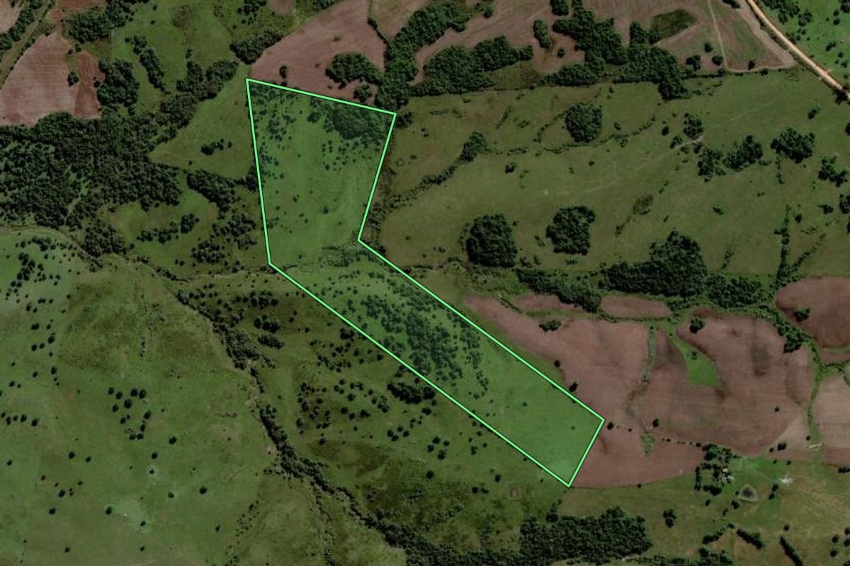 Imagem de satélite do imóvel rural em Piratini (RS), com o contorno declarado no CAR desenhado por cima.