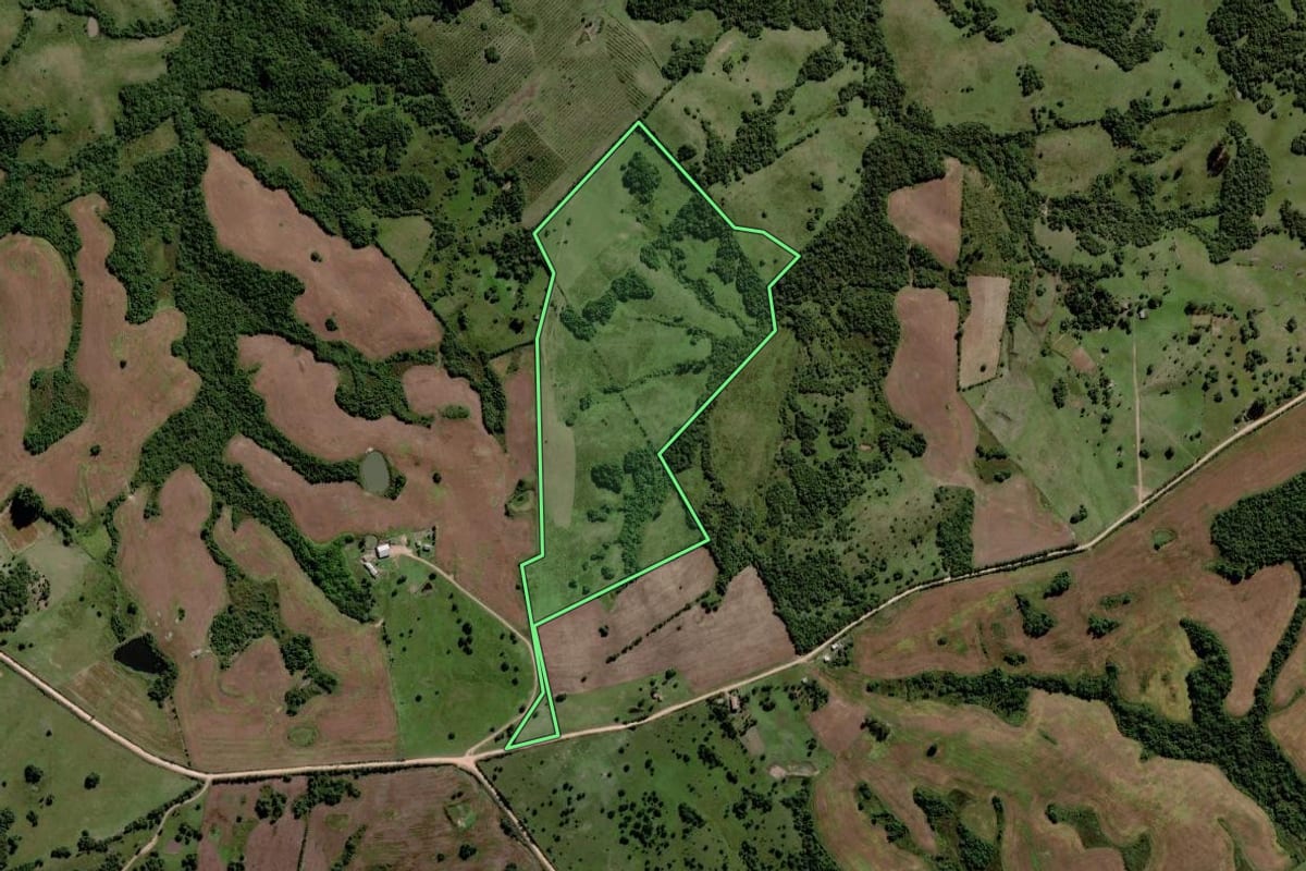 Imagem de satélite do imóvel rural em Piratini (RS), com o contorno declarado no CAR desenhado por cima.