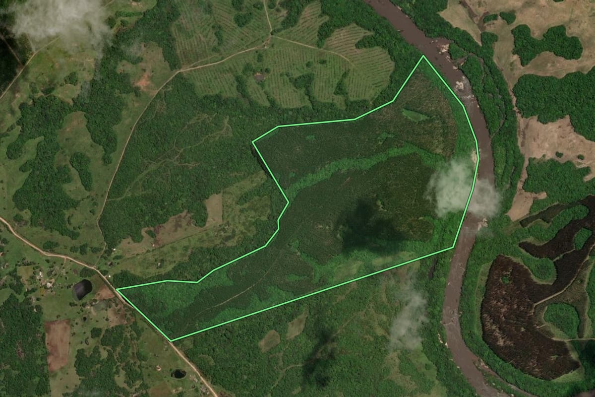 Imagem de satélite do imóvel rural em Piratini (RS), com o contorno declarado no CAR desenhado por cima.