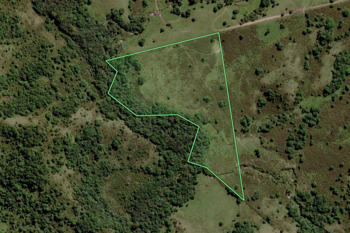Imagem de satélite do imóvel rural em Piratini (RS), com o contorno declarado no CAR desenhado por cima.
