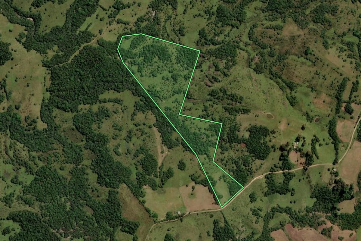 Imagem de satélite do imóvel rural em Piratini (RS), com o contorno declarado no CAR desenhado por cima.