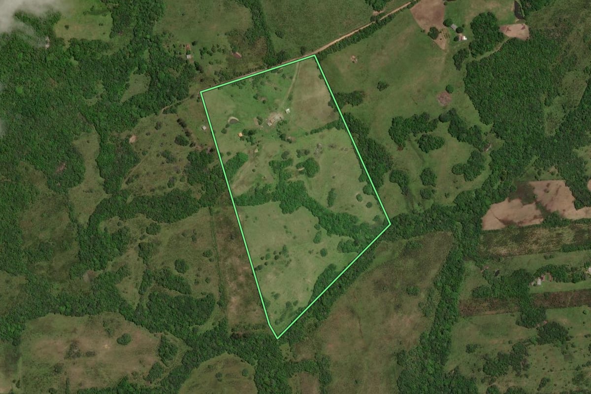 Imagem de satélite do imóvel rural em Piratini (RS), com o contorno declarado no CAR desenhado por cima.