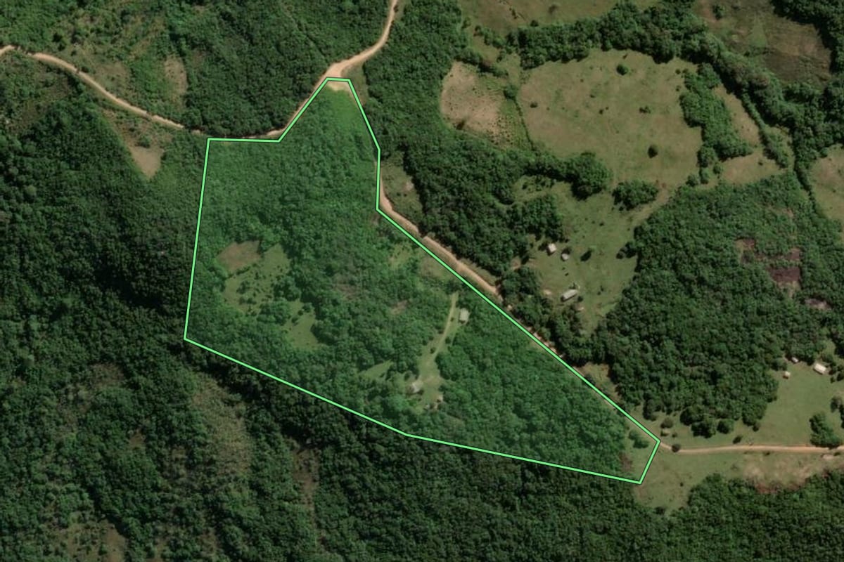 Imagem de satélite do imóvel rural em Piratini (RS), com o contorno declarado no CAR desenhado por cima.
