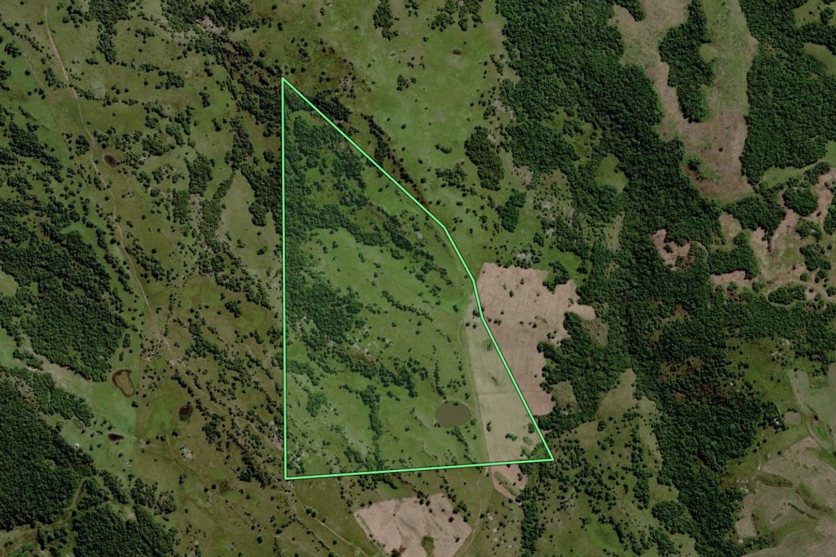 Imagem de satélite do imóvel rural em Piratini (RS), com o contorno declarado no CAR desenhado por cima.