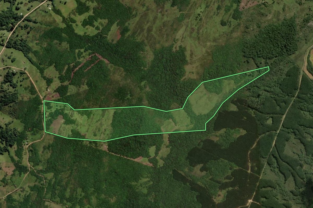 Imagem de satélite do imóvel rural em Piratini (RS), com o contorno declarado no CAR desenhado por cima.
