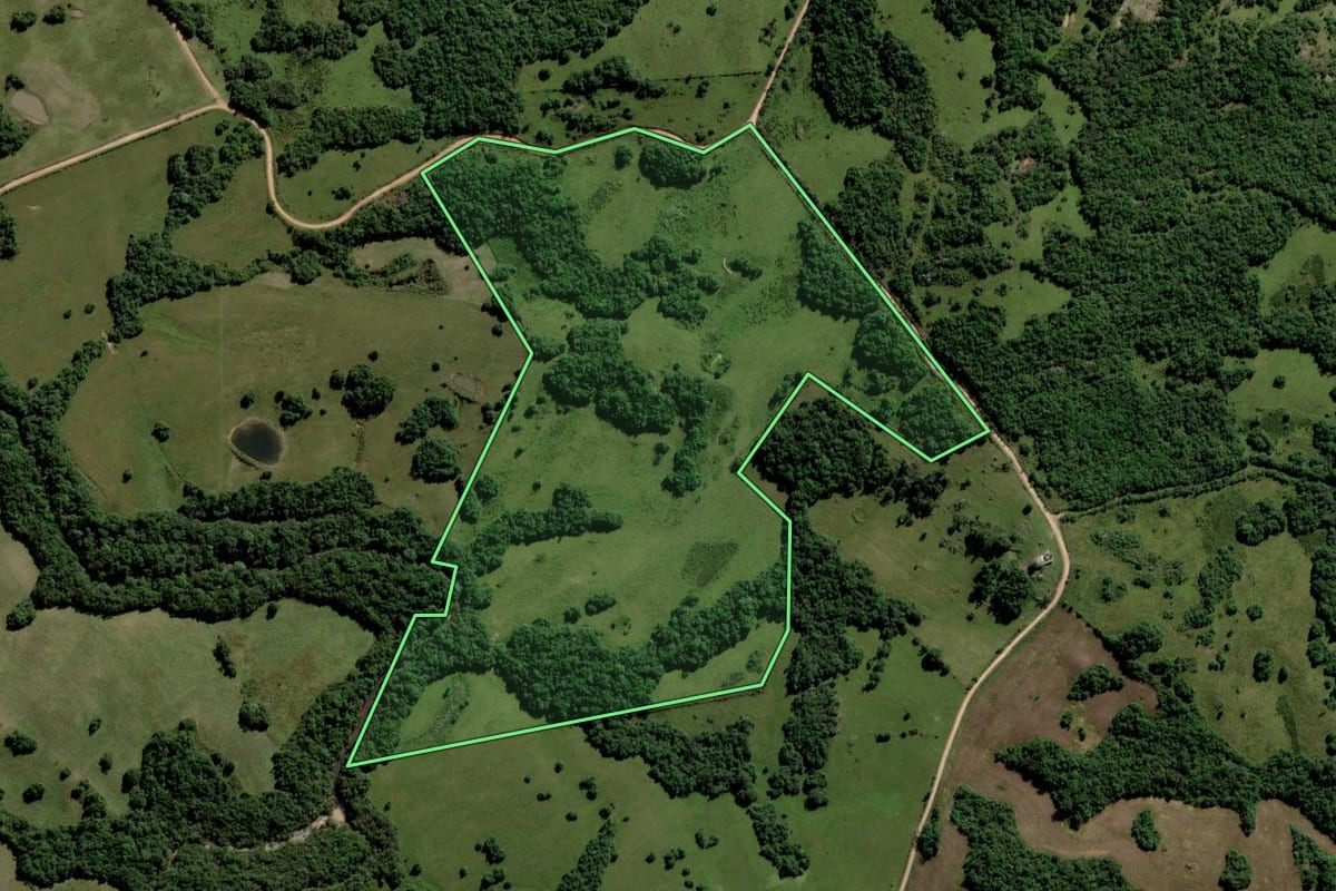Imagem de satélite do imóvel rural em Piratini (RS), com o contorno declarado no CAR desenhado por cima.