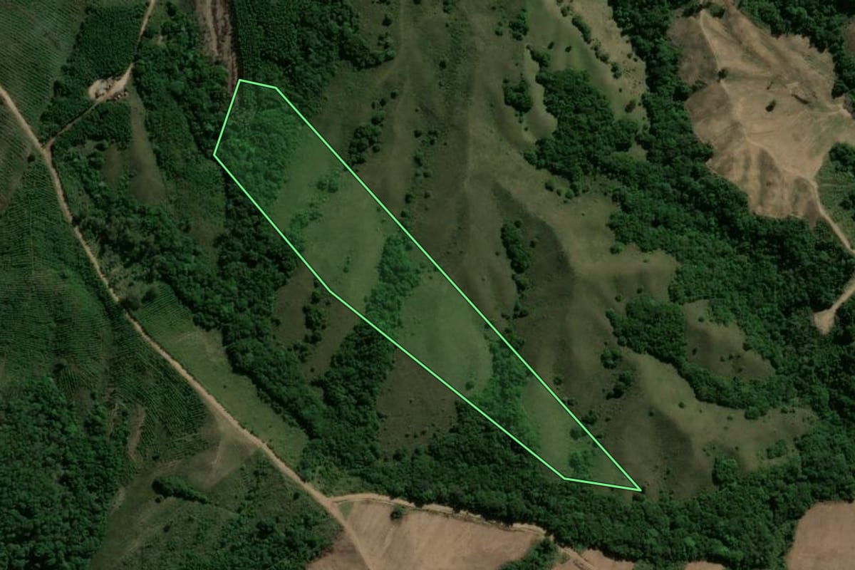 Imagem de satélite do imóvel rural em Piratini (RS), com o contorno declarado no CAR desenhado por cima.