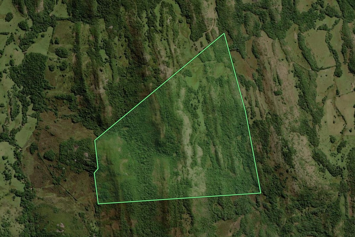 Imagem de satélite do imóvel rural em Piratini (RS), com o contorno declarado no CAR desenhado por cima.