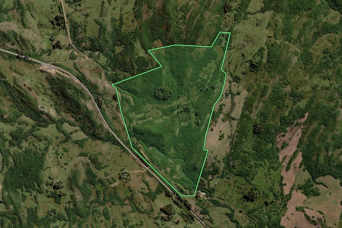 Imagem de satélite do imóvel rural em Piratini (RS), com o contorno declarado no CAR desenhado por cima.