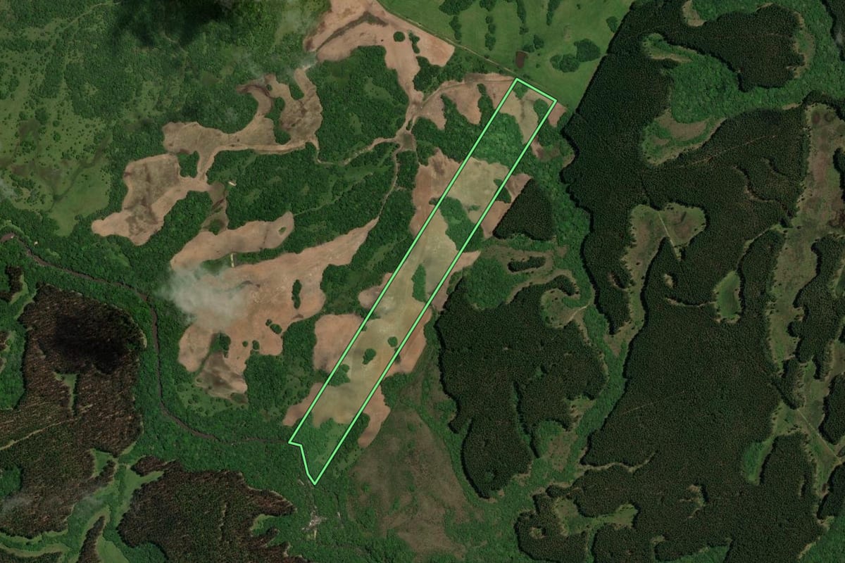 Imagem de satélite do imóvel rural em Piratini (RS), com o contorno declarado no CAR desenhado por cima.