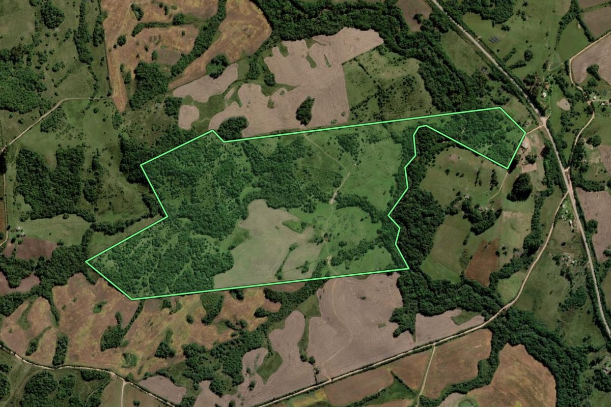 Imagem de satélite do imóvel rural em Piratini (RS), com o contorno declarado no CAR desenhado por cima.
