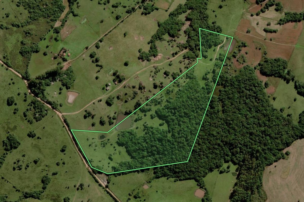Imagem de satélite do imóvel rural em Piratini (RS), com o contorno declarado no CAR desenhado por cima.