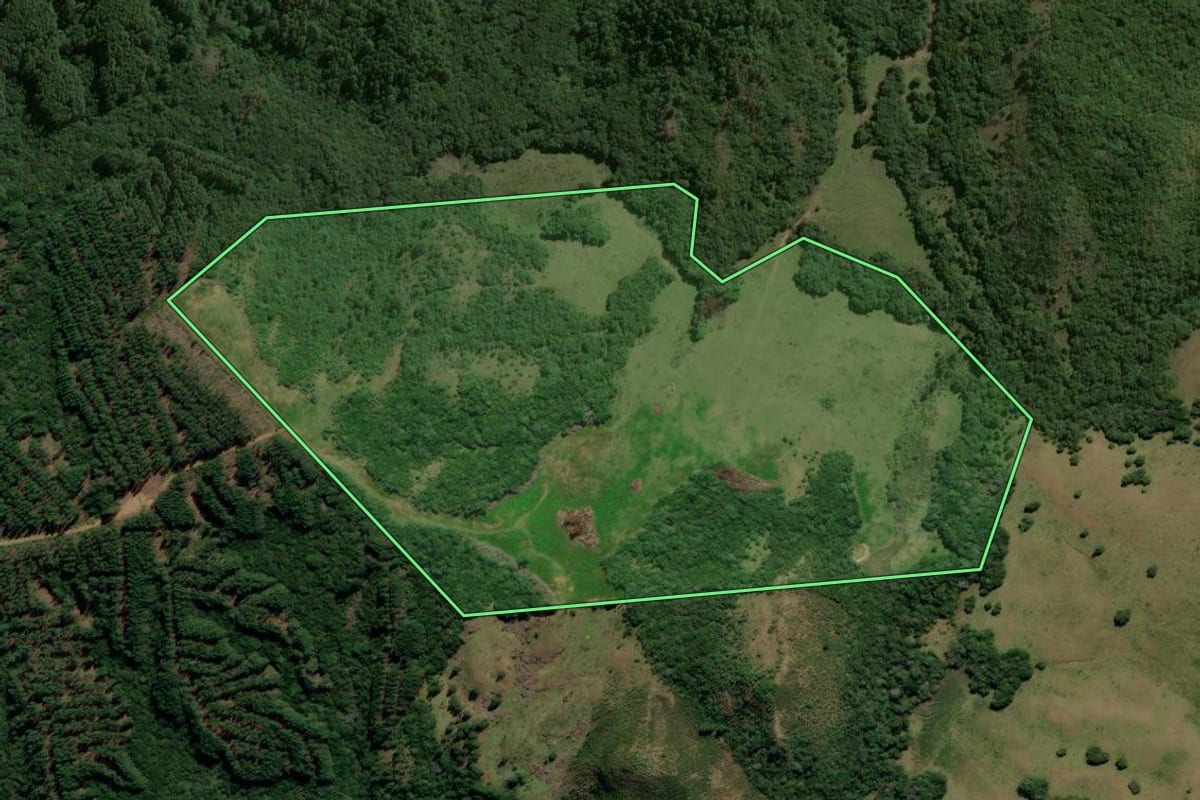 Imagem de satélite do imóvel rural em Piratini (RS), com o contorno declarado no CAR desenhado por cima.