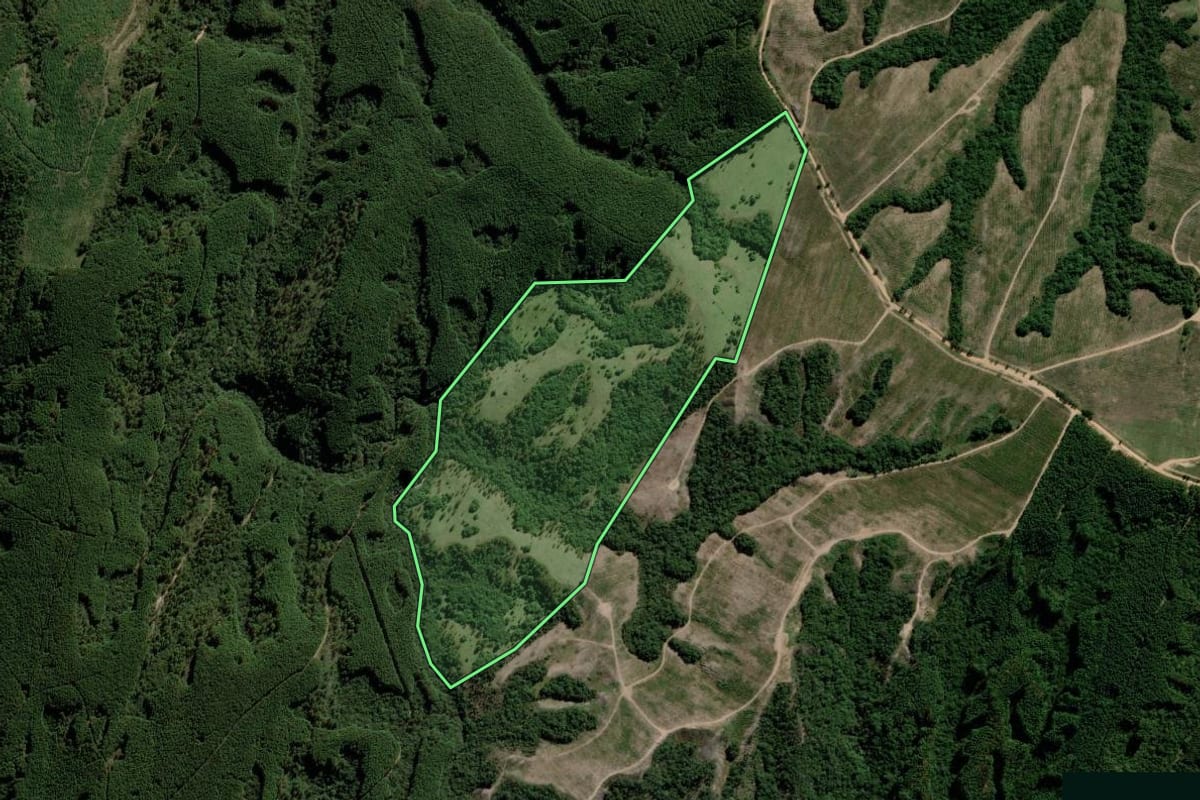 Imagem de satélite do imóvel rural em Piratini (RS), com o contorno declarado no CAR desenhado por cima.
