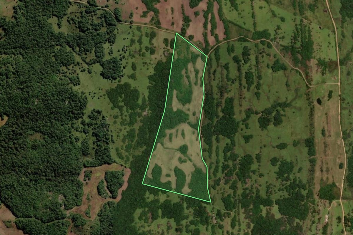 Imagem de satélite do imóvel rural em Piratini (RS), com o contorno declarado no CAR desenhado por cima.