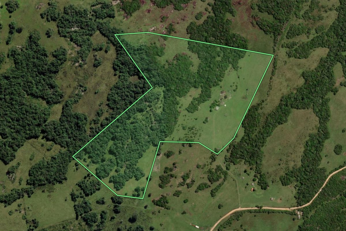 Imagem de satélite do imóvel rural em Piratini (RS), com o contorno declarado no CAR desenhado por cima.