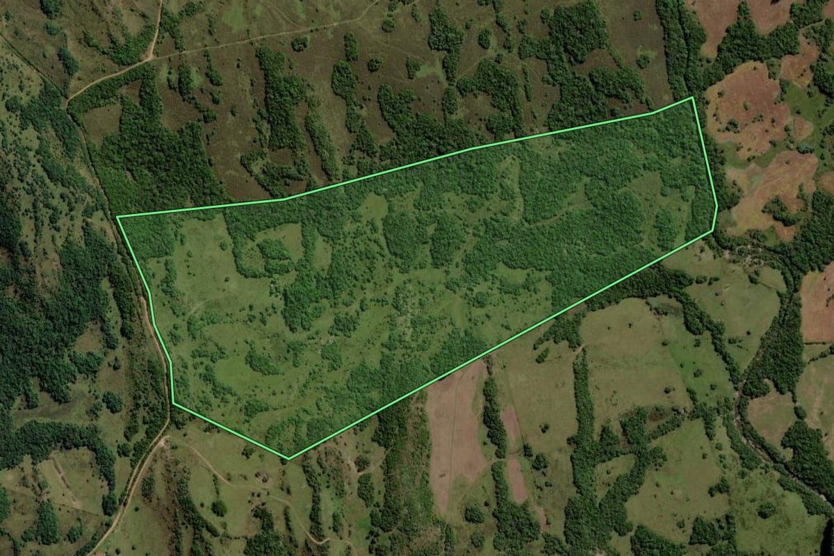 Imagem de satélite do imóvel rural em Piratini (RS), com o contorno declarado no CAR desenhado por cima.