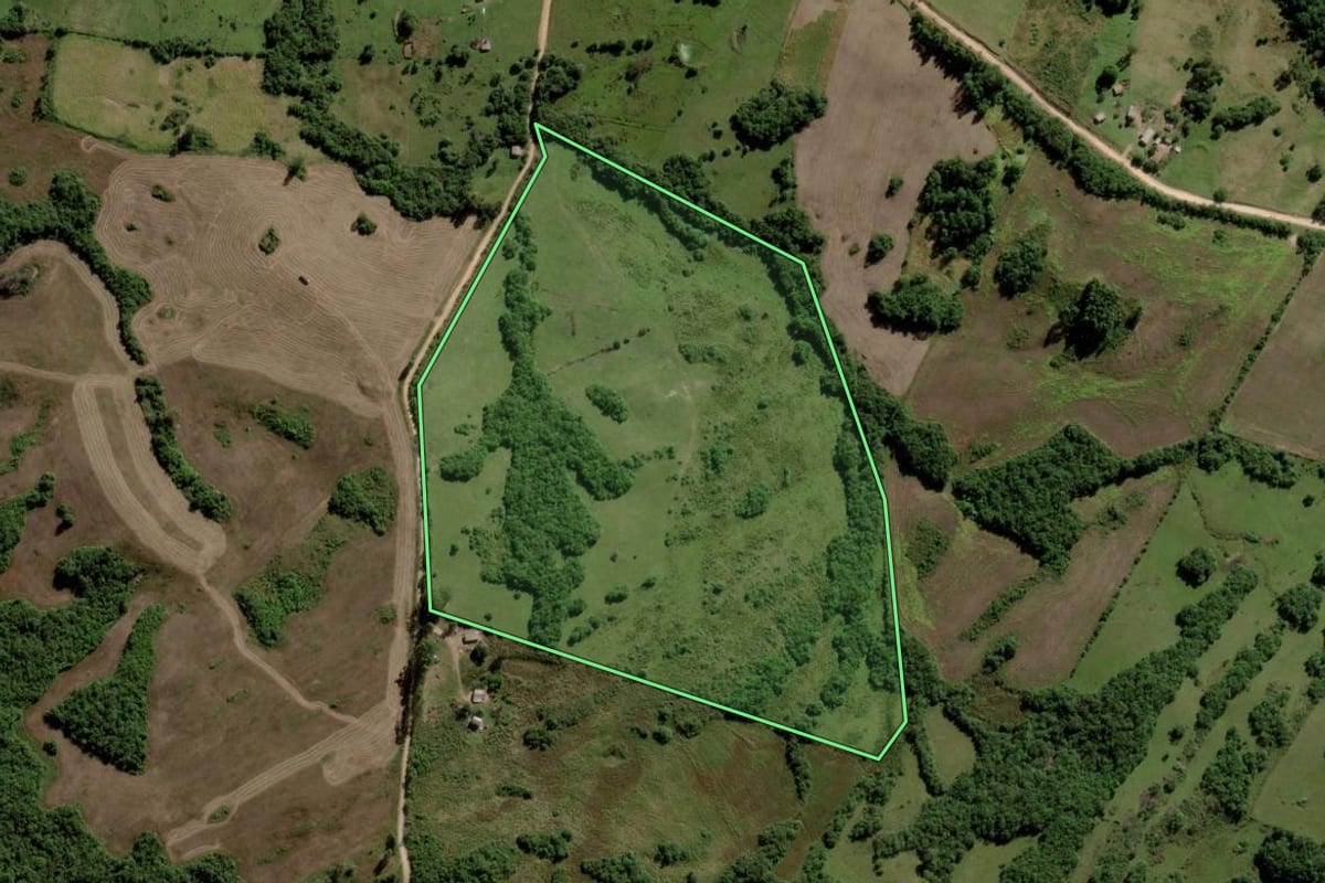 Imagem de satélite do imóvel rural em Piratini (RS), com o contorno declarado no CAR desenhado por cima.