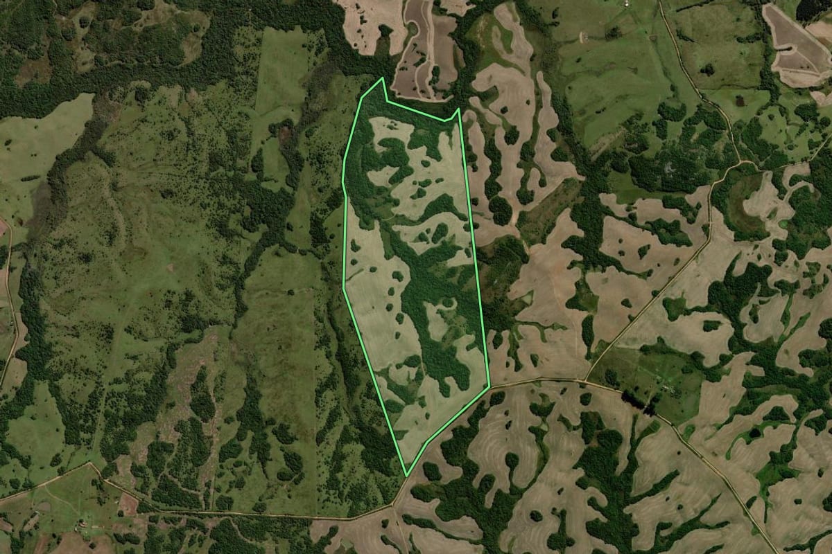 Imagem de satélite do imóvel rural em Piratini (RS), com o contorno declarado no CAR desenhado por cima.