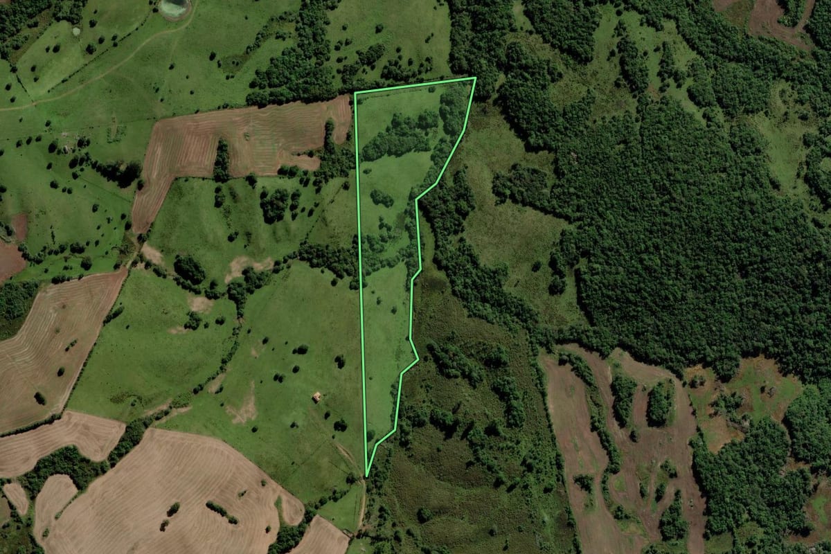 Imagem de satélite do imóvel rural em Piratini (RS), com o contorno declarado no CAR desenhado por cima.