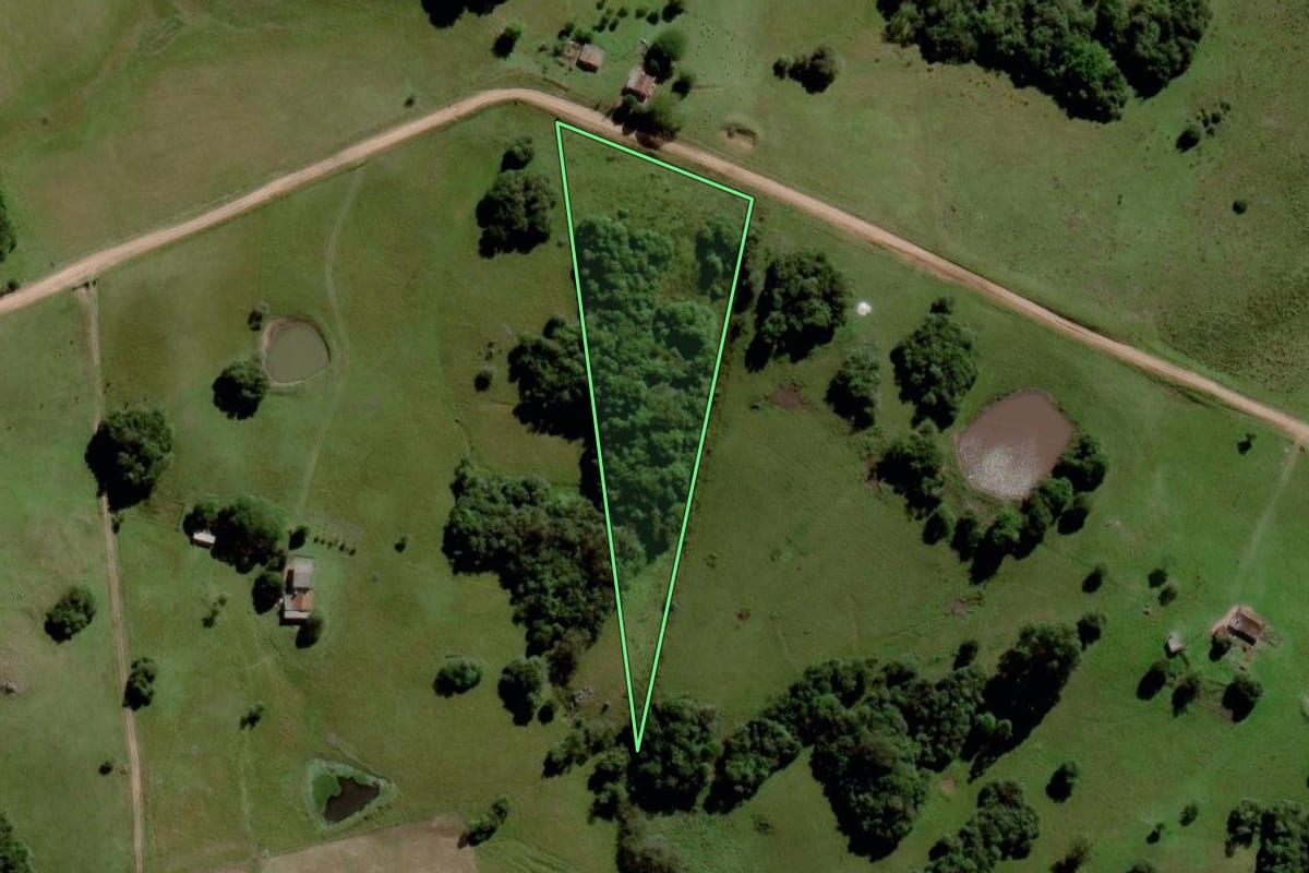 Imagem de satélite do imóvel rural em Piratini (RS), com o contorno declarado no CAR desenhado por cima.