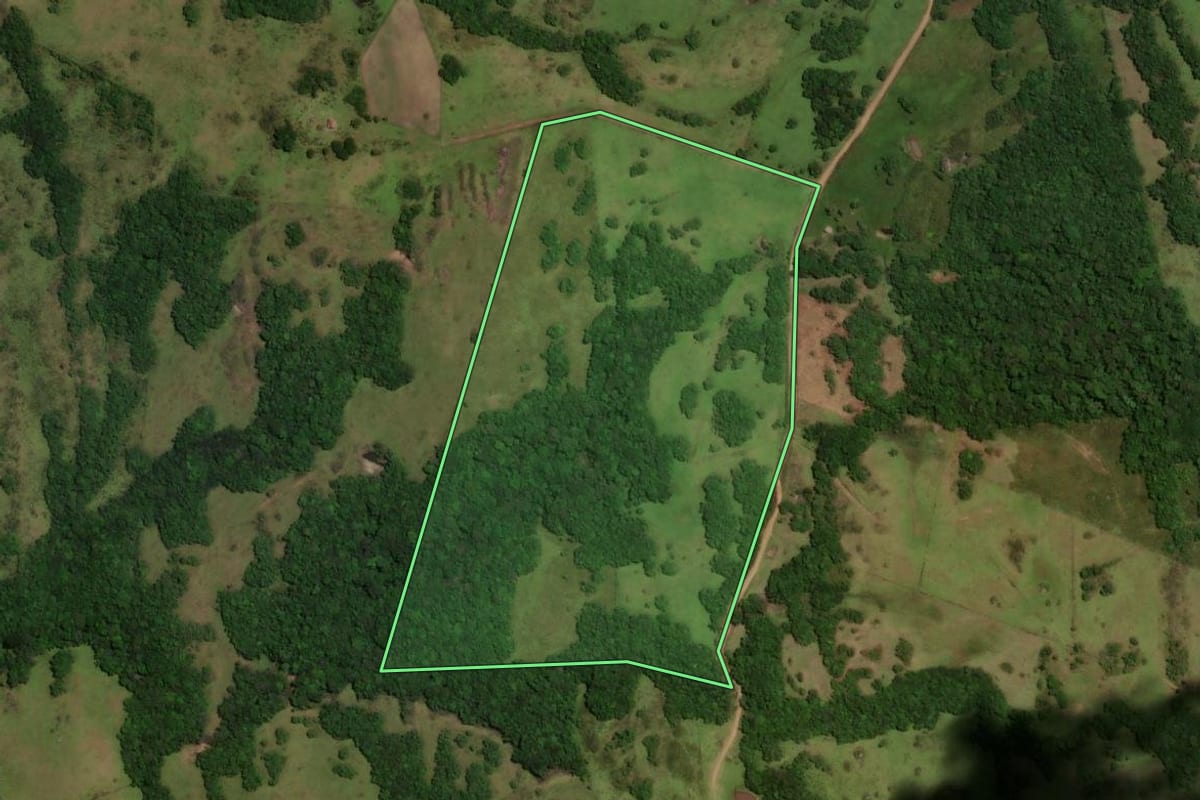 Imagem de satélite do imóvel rural em Piratini (RS), com o contorno declarado no CAR desenhado por cima.