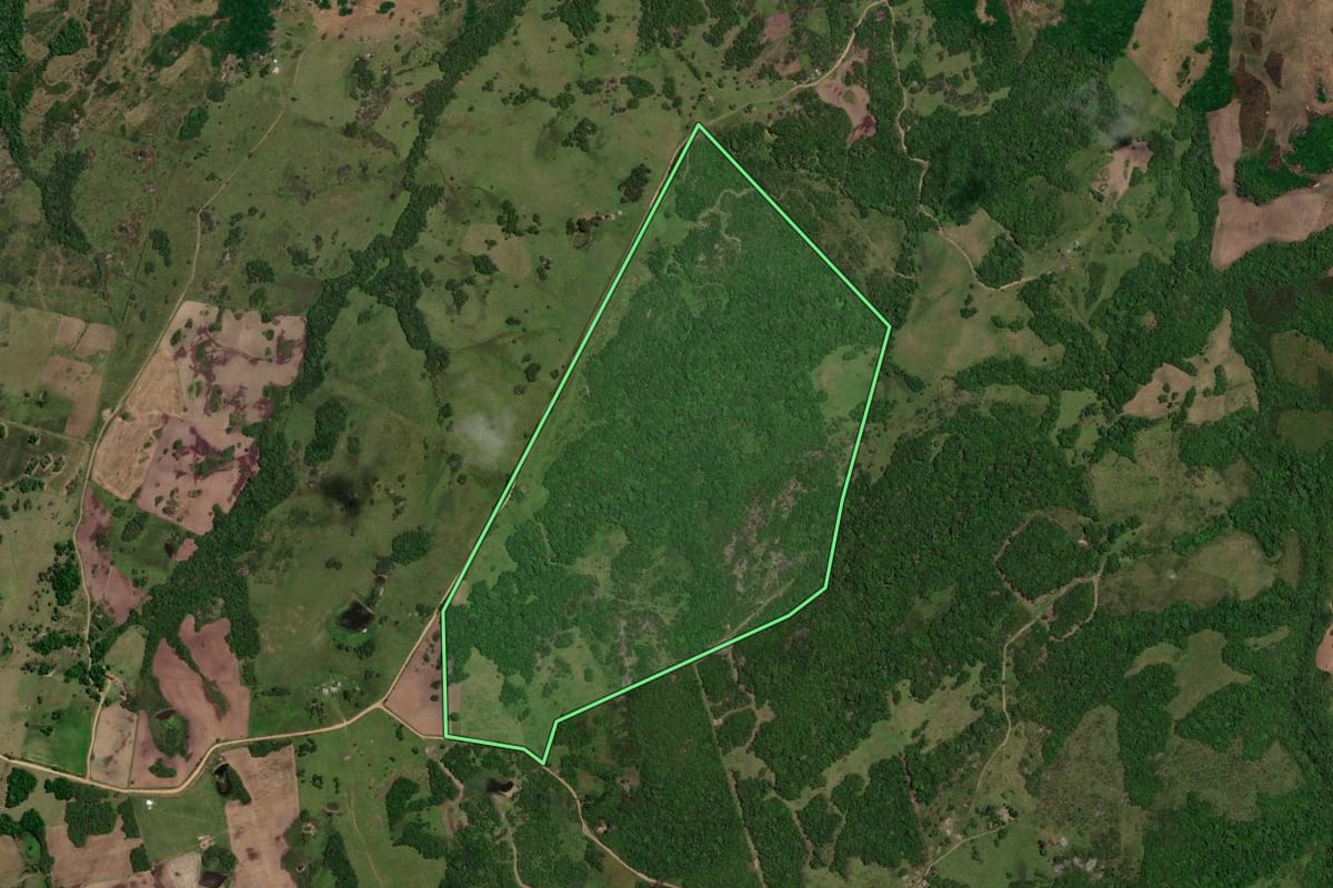 Imagem de satélite do imóvel rural em Piratini (RS), com o contorno declarado no CAR desenhado por cima.