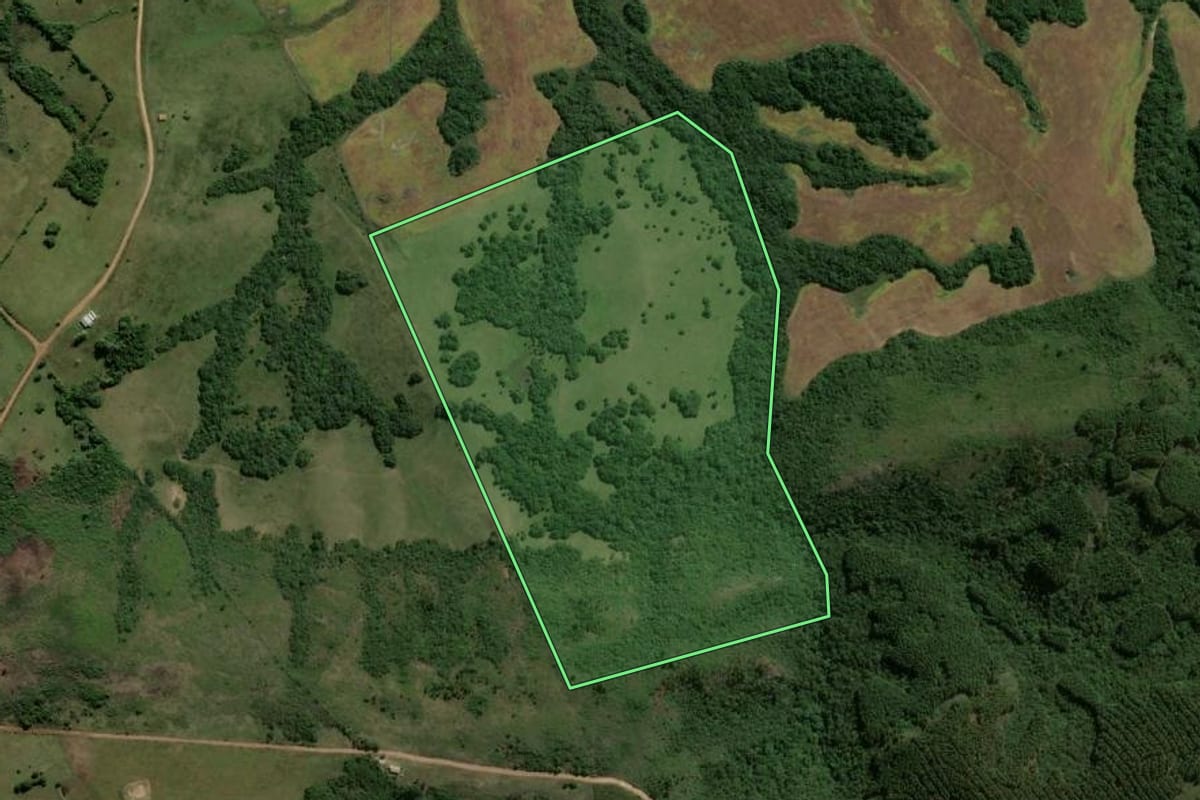 Imagem de satélite do imóvel rural em Piratini (RS), com o contorno declarado no CAR desenhado por cima.