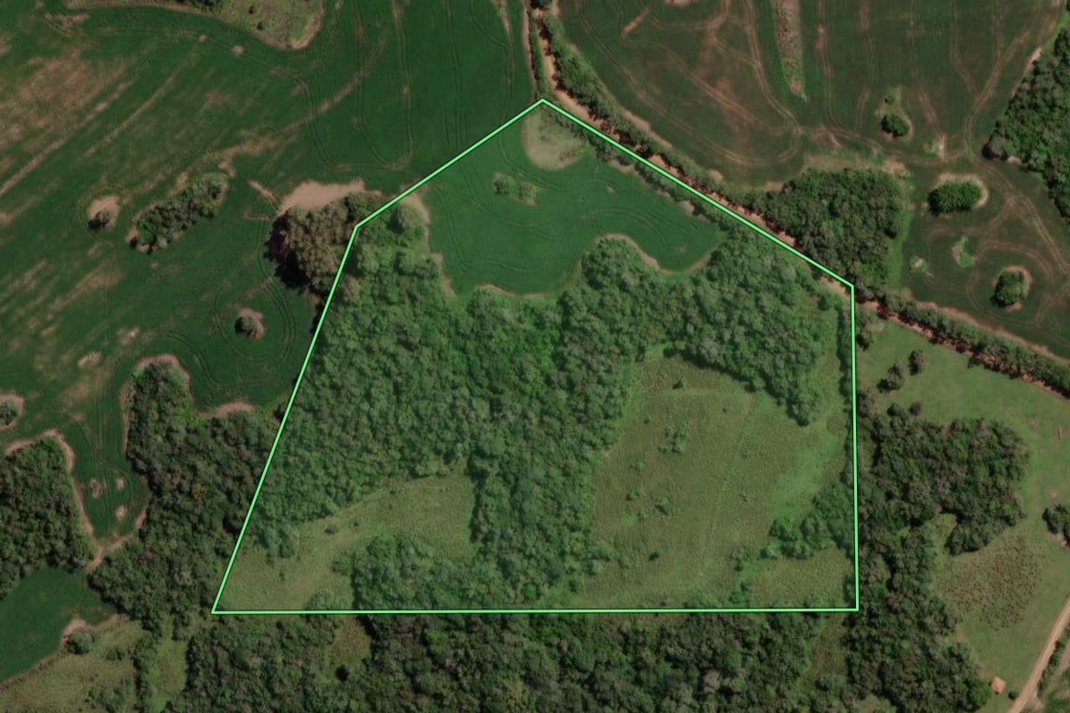 Imagem de satélite do imóvel rural em Piratini (RS), com o contorno declarado no CAR desenhado por cima.