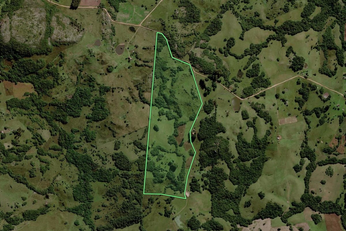 Imagem de satélite do imóvel rural em Piratini (RS), com o contorno declarado no CAR desenhado por cima.