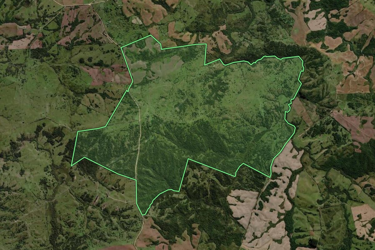 Imagem de satélite do imóvel rural em Piratini (RS), com o contorno declarado no CAR desenhado por cima.