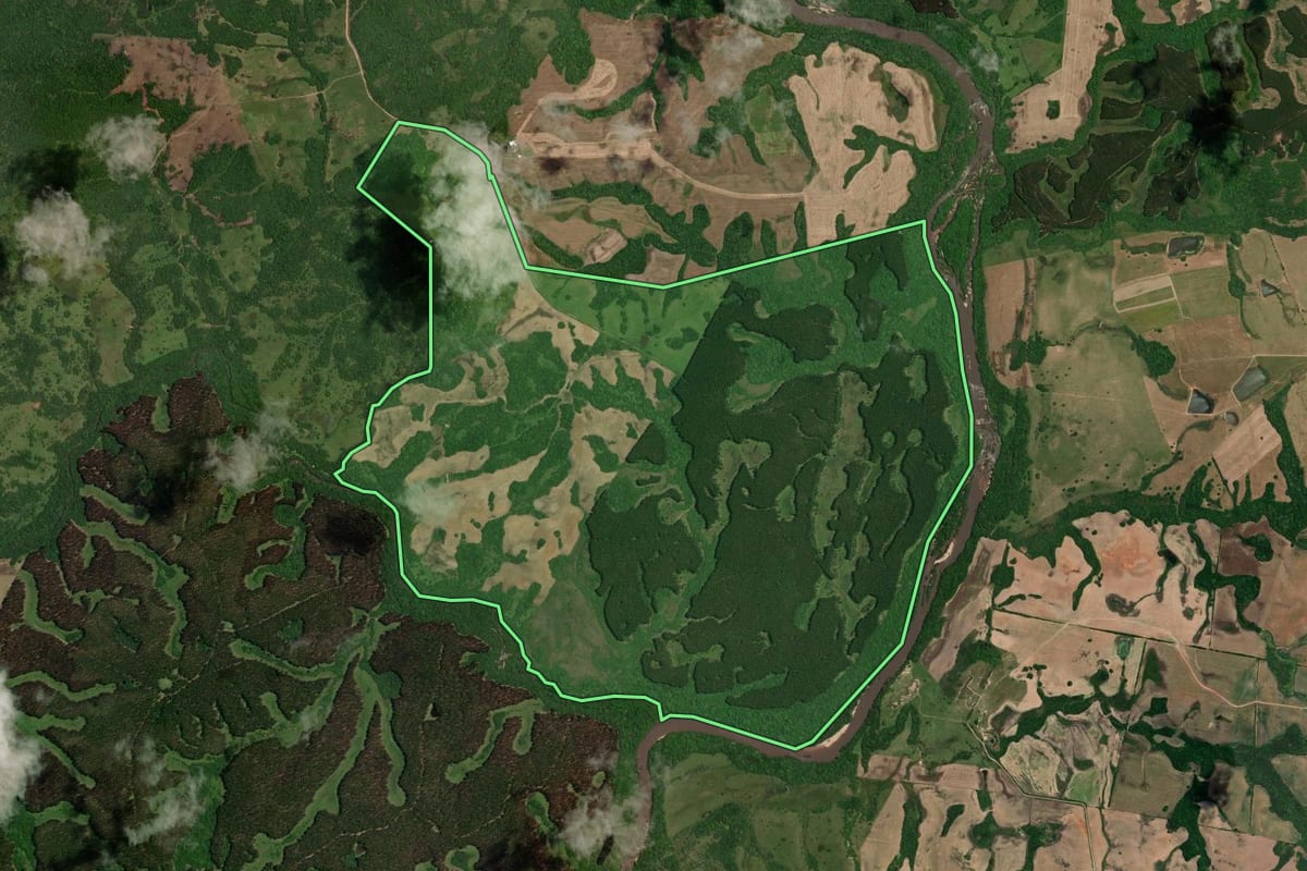 Imagem de satélite do imóvel rural em Piratini (RS), com o contorno declarado no CAR desenhado por cima.