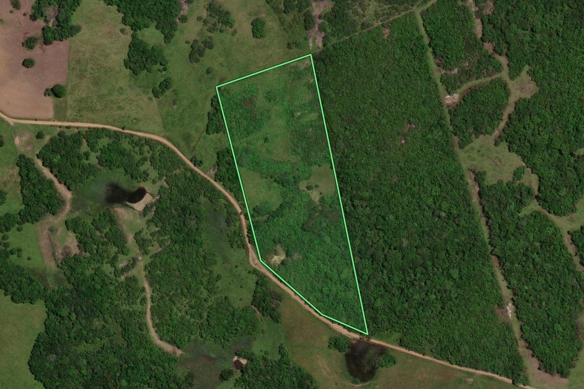 Imagem de satélite do imóvel rural em Piratini (RS), com o contorno declarado no CAR desenhado por cima.