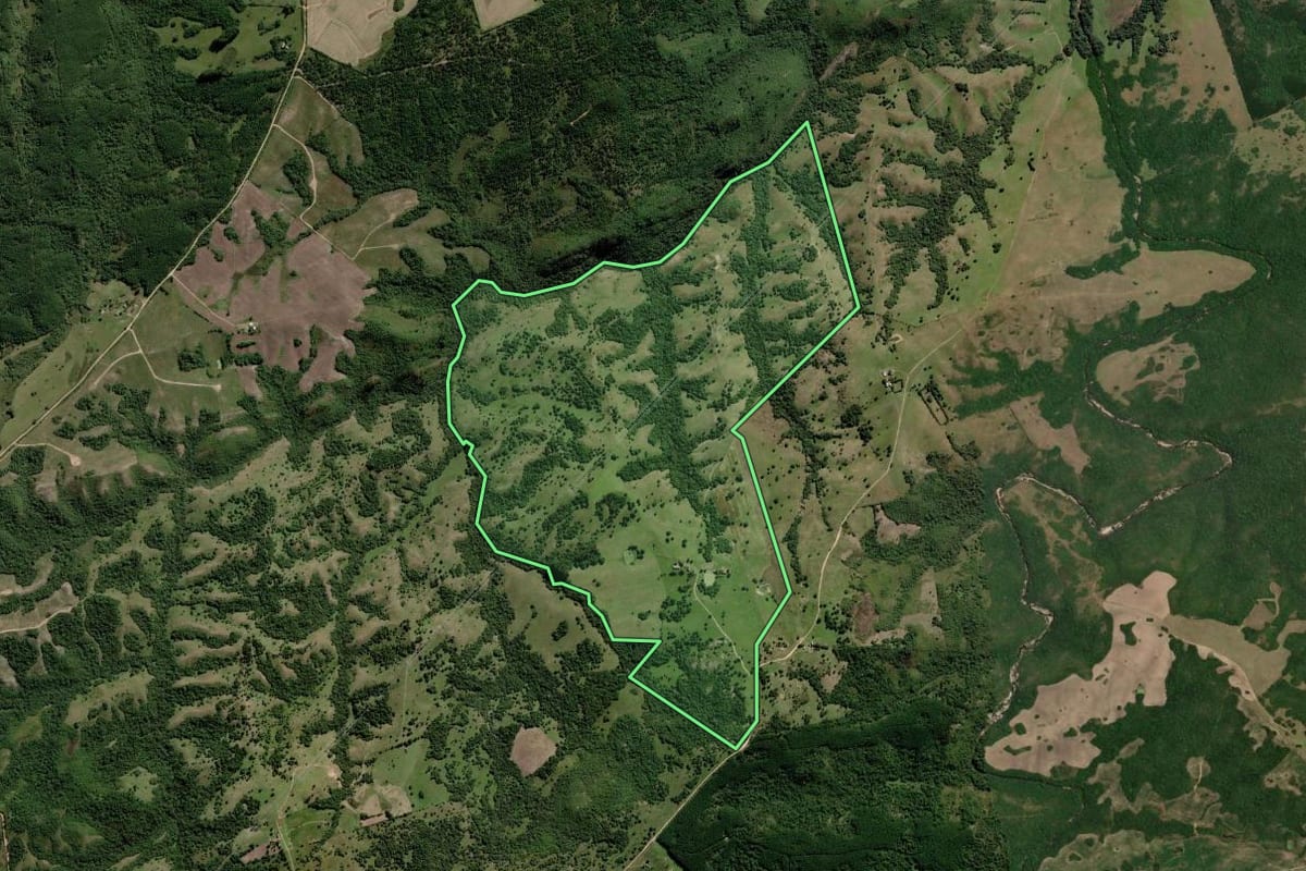 Imagem de satélite do imóvel rural em Piratini (RS), com o contorno declarado no CAR desenhado por cima.