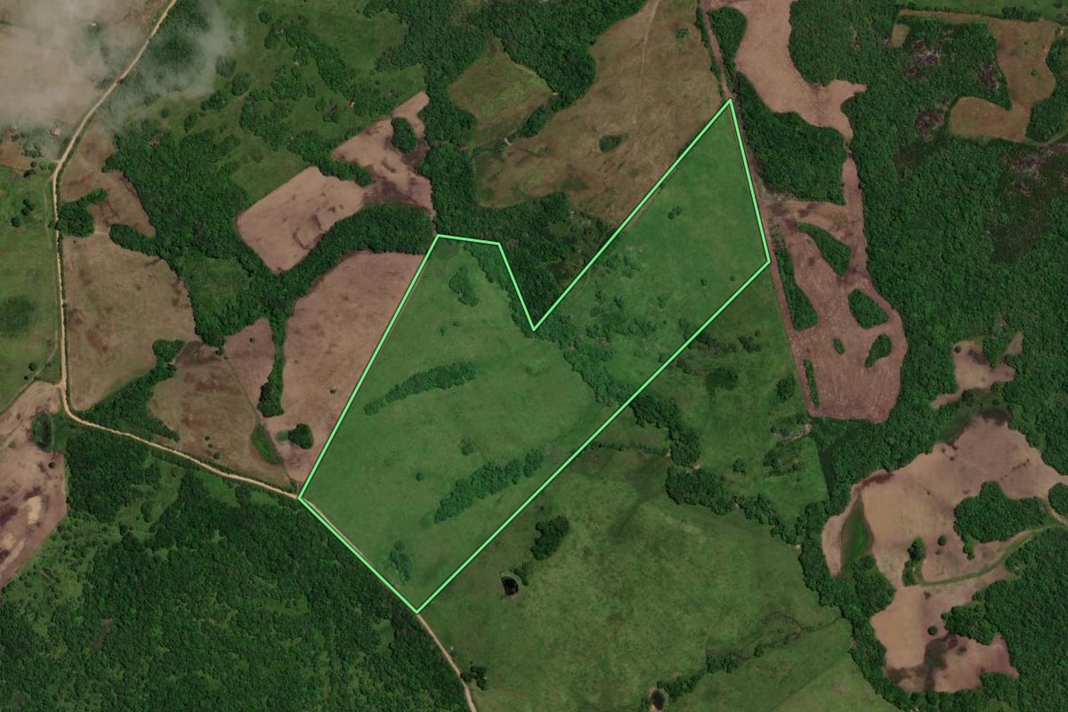 Imagem de satélite do imóvel rural em Piratini (RS), com o contorno declarado no CAR desenhado por cima.