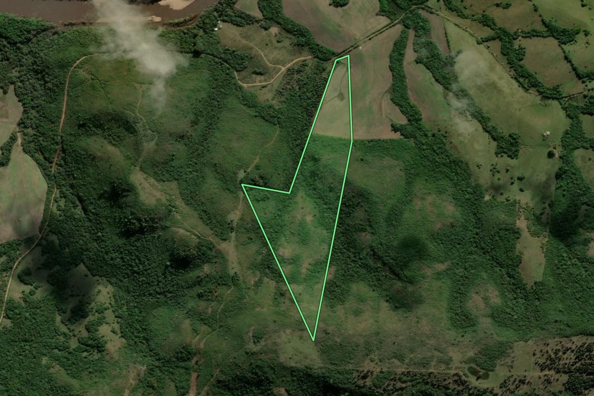 Imagem de satélite do imóvel rural em Piratini (RS), com o contorno declarado no CAR desenhado por cima.