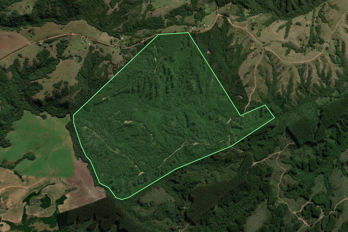 Imagem de satélite do imóvel rural em Piratini (RS), com o contorno declarado no CAR desenhado por cima.