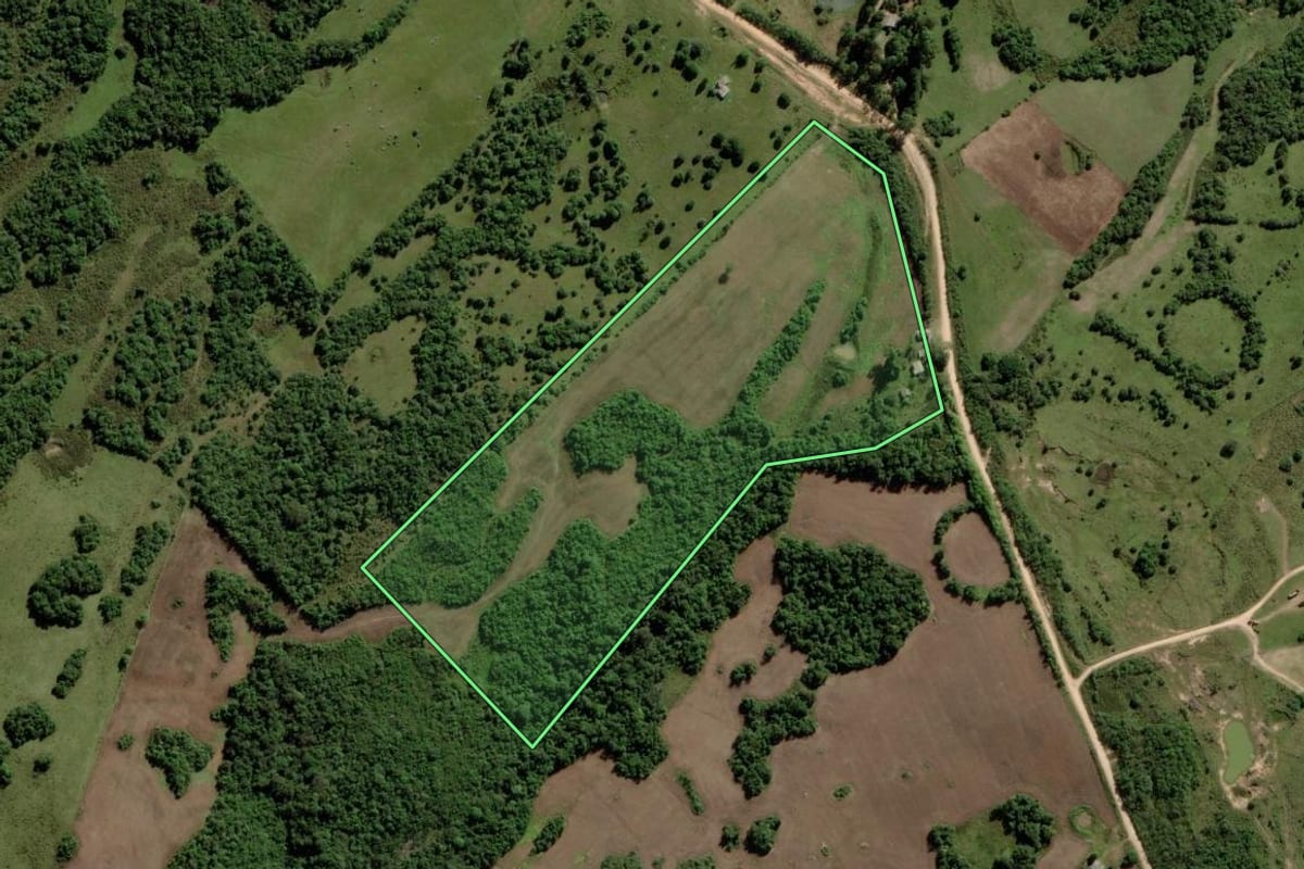 Imagem de satélite do imóvel rural em Piratini (RS), com o contorno declarado no CAR desenhado por cima.