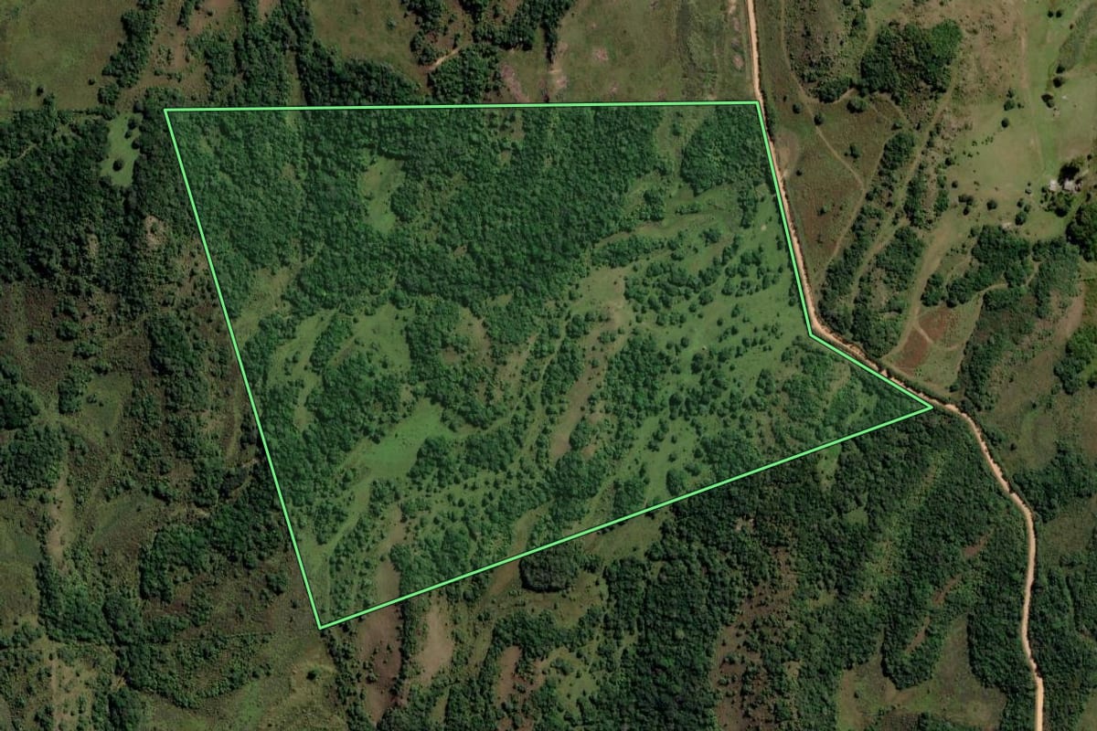 Imagem de satélite do imóvel rural em Piratini (RS), com o contorno declarado no CAR desenhado por cima.