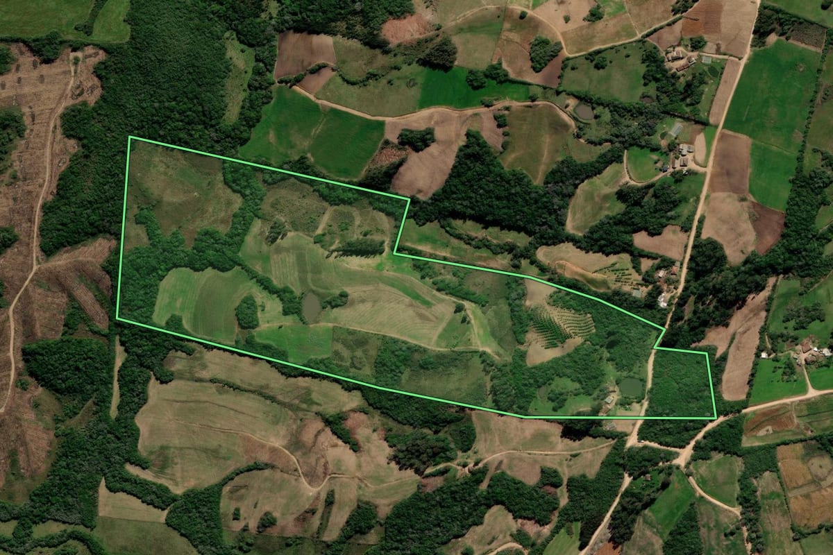 Imagem de satélite do imóvel rural em Piratini (RS), com o contorno declarado no CAR desenhado por cima.